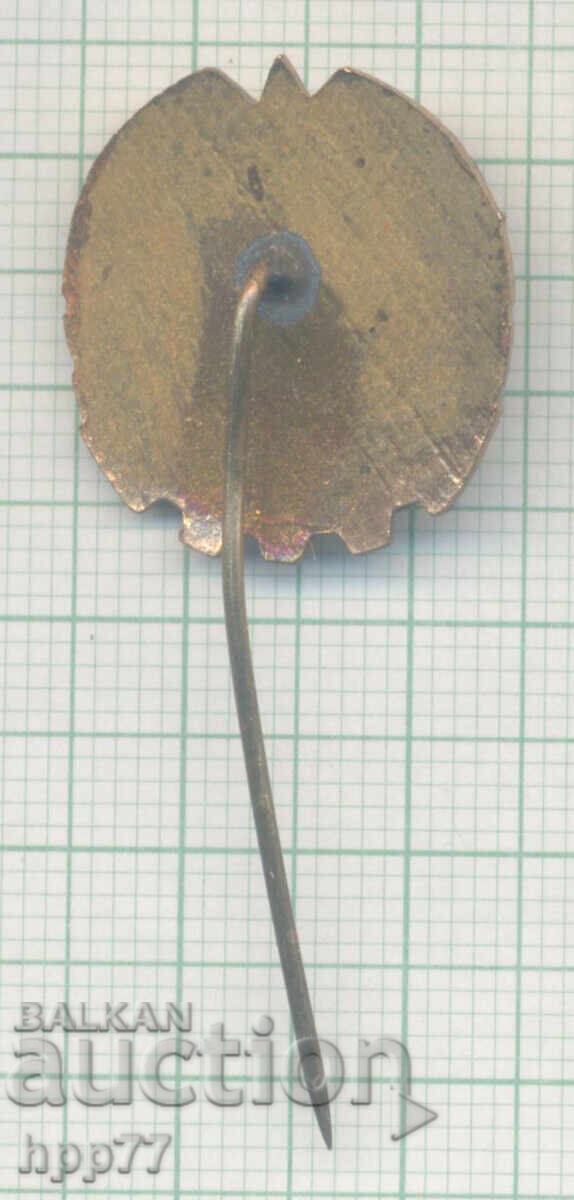 Рядък награден спортен знак ГТО емайл с цена € 1.00 | 1.96 лв. Рядък награден спортен знак ГТО емайл с цена € 1.00 | 1.96 лв.