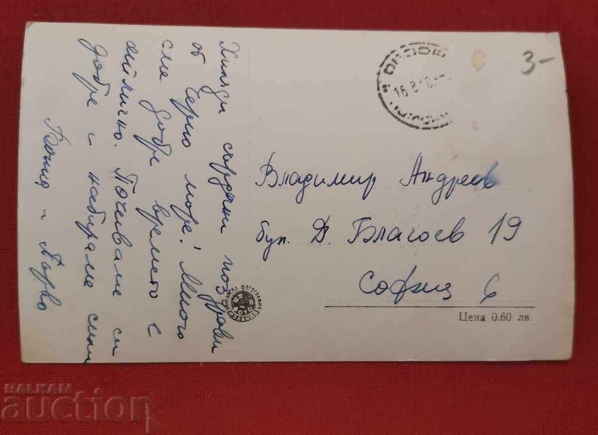 ΣΦΑΙΡΙΚΗ ΕΙΚΟΝΑ με τιμή € 2.00 | 3.91 BGN