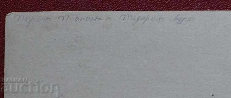 Muntele Pirin, Vârful Todorka cu preț € 3.00 | 5.87 BGN