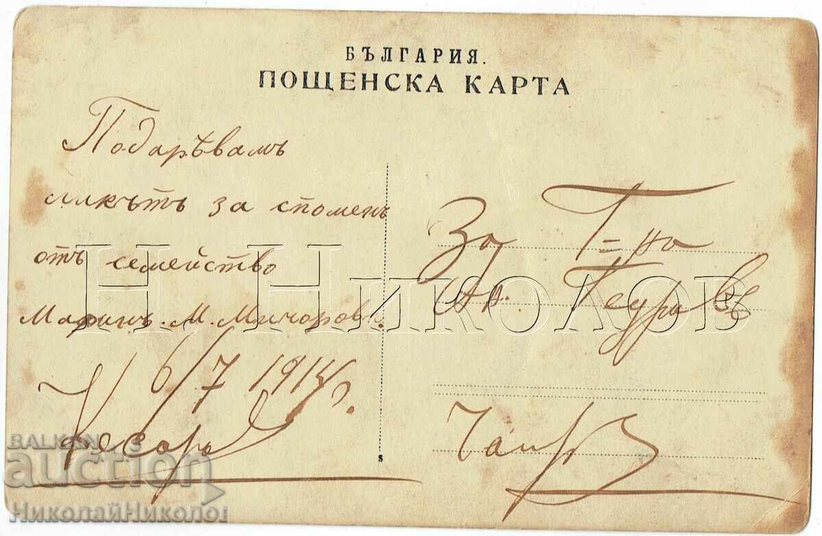 1914 FOTOGRAFIE VECHE FETIȚĂ CU PUI DE GĂINĂ E812 cu preț € 2.00 | 3.91 BGN