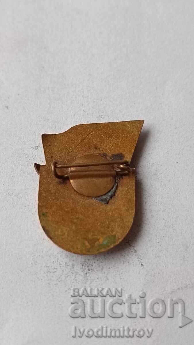 Badge Warrior - athlete III degree with price € 2.48 | 4.85 BGN