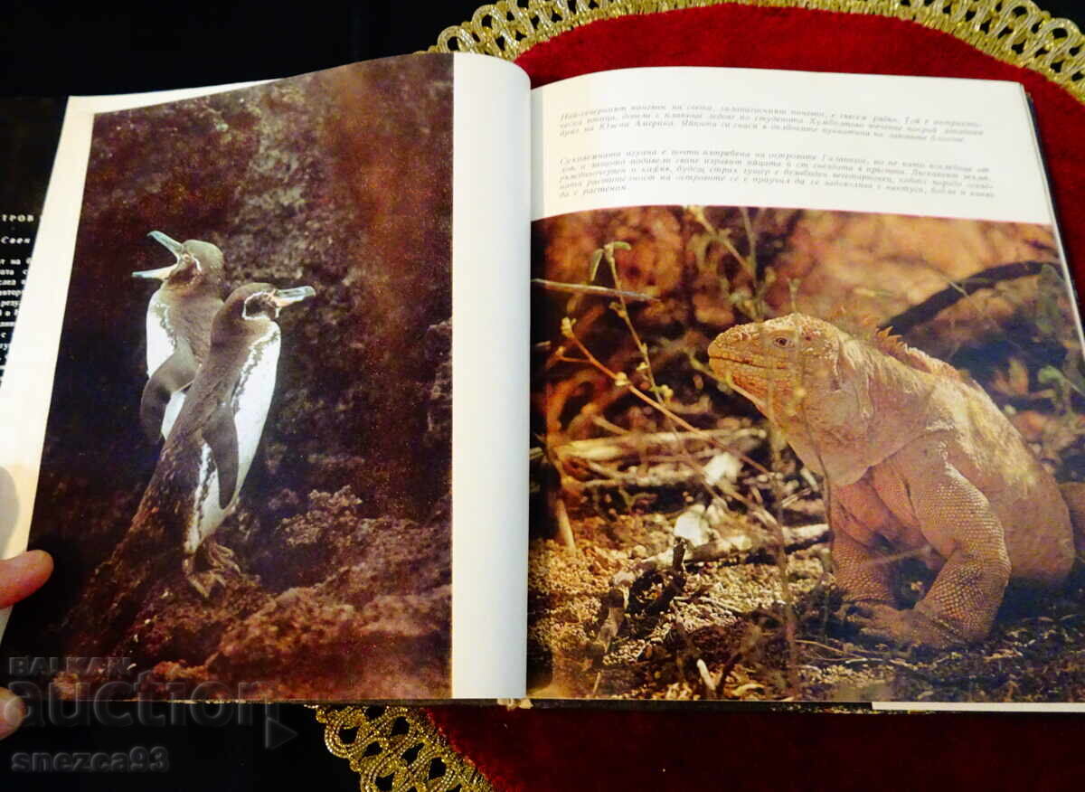 Livrarea Insulă după insulă, Sven Yilseter