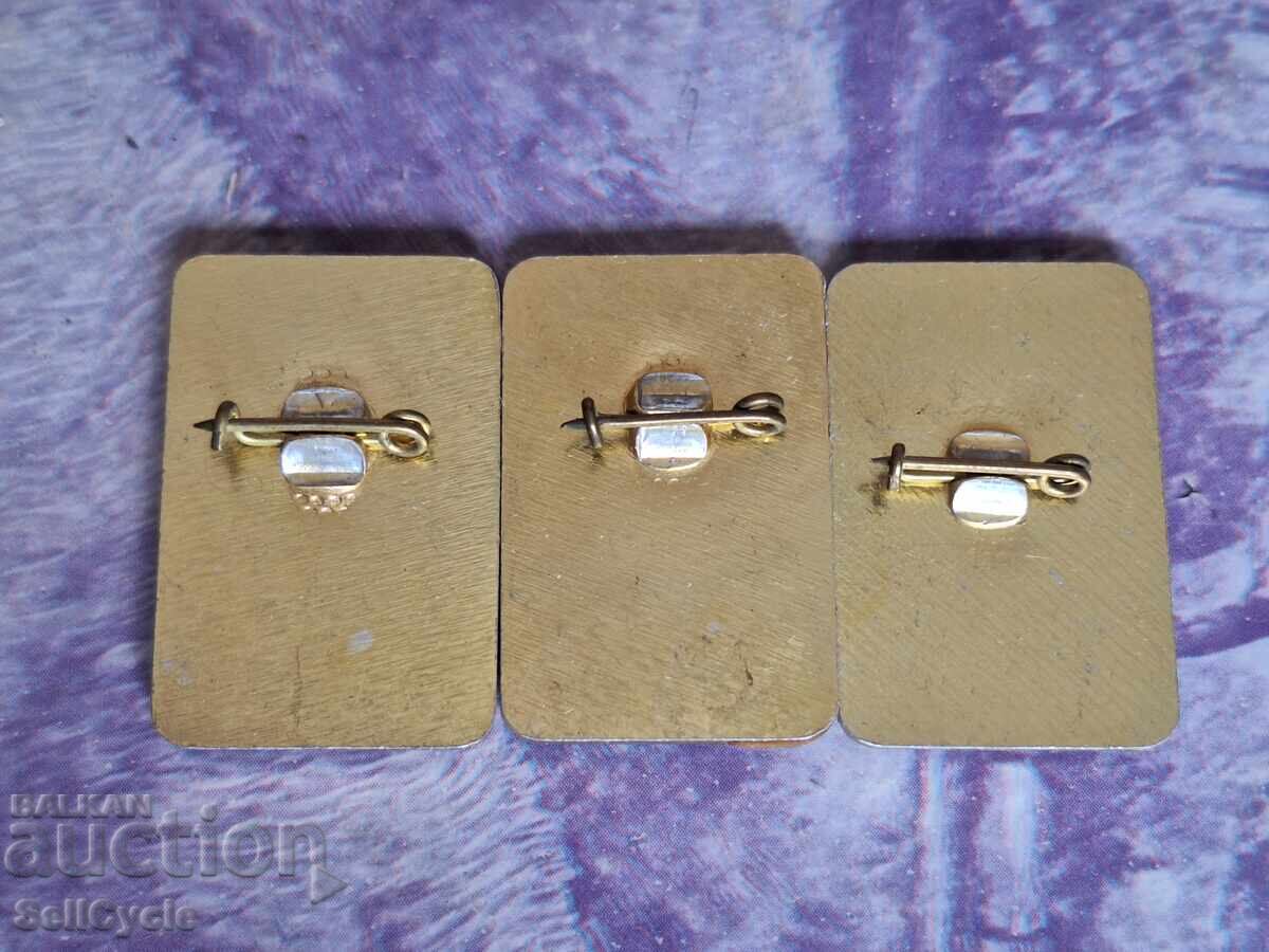 ✅INSIGNE PIONIERI❗ cu preț € 2.00 | 3.91 BGN