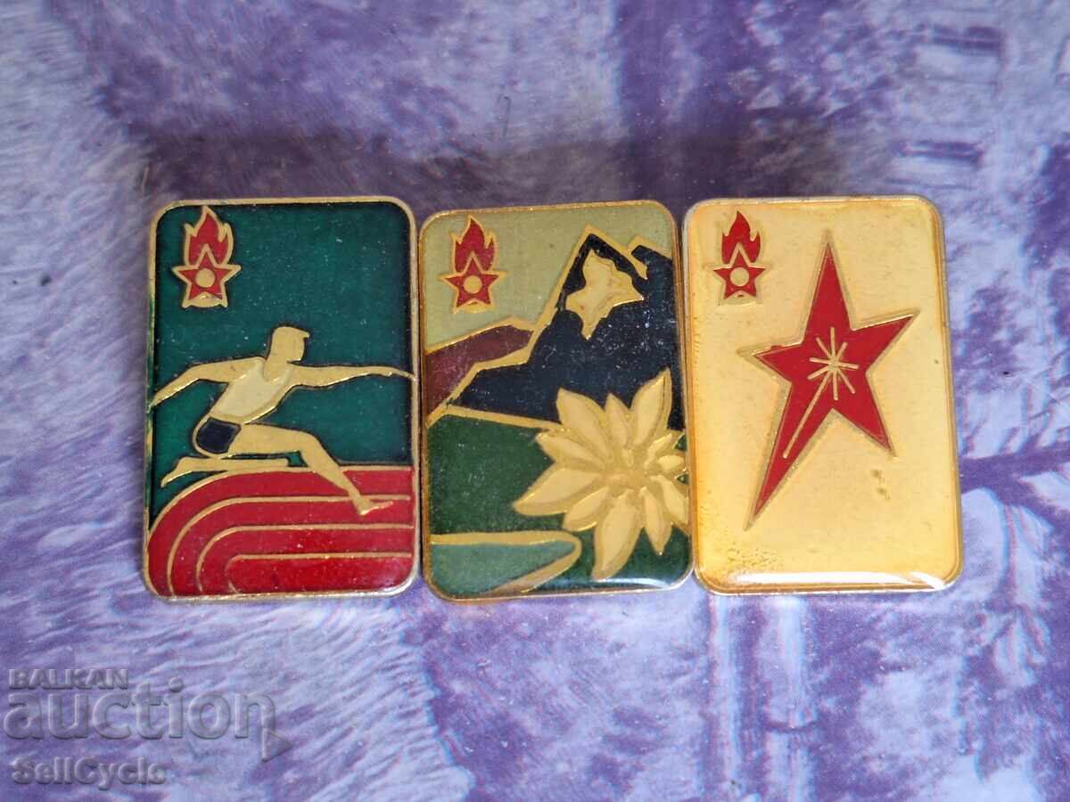 ✅INSIGNE PIONIERI❗