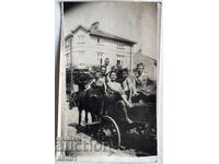 Sofia Krasno selo în Căruța