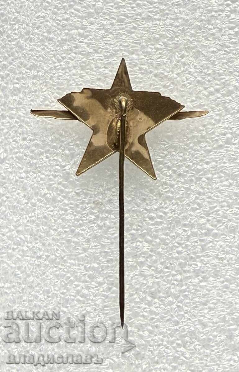 Semn N.S.V.S. Uniunea Populară pentru Transport Aerian cu preț € 375.00 | 733.44 BGN