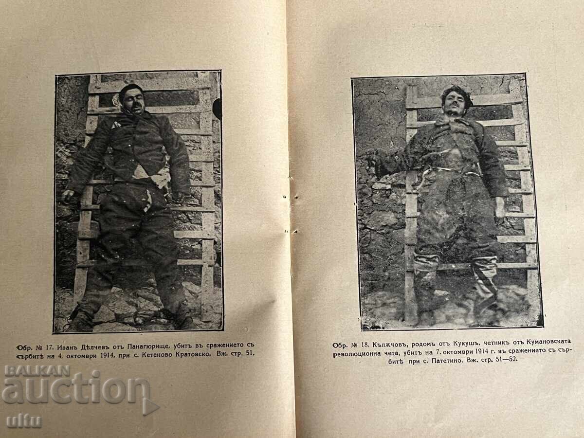 Σερβικό καθεστώς και επαναστατικός αγώνας στη Μακεδονία - 7
