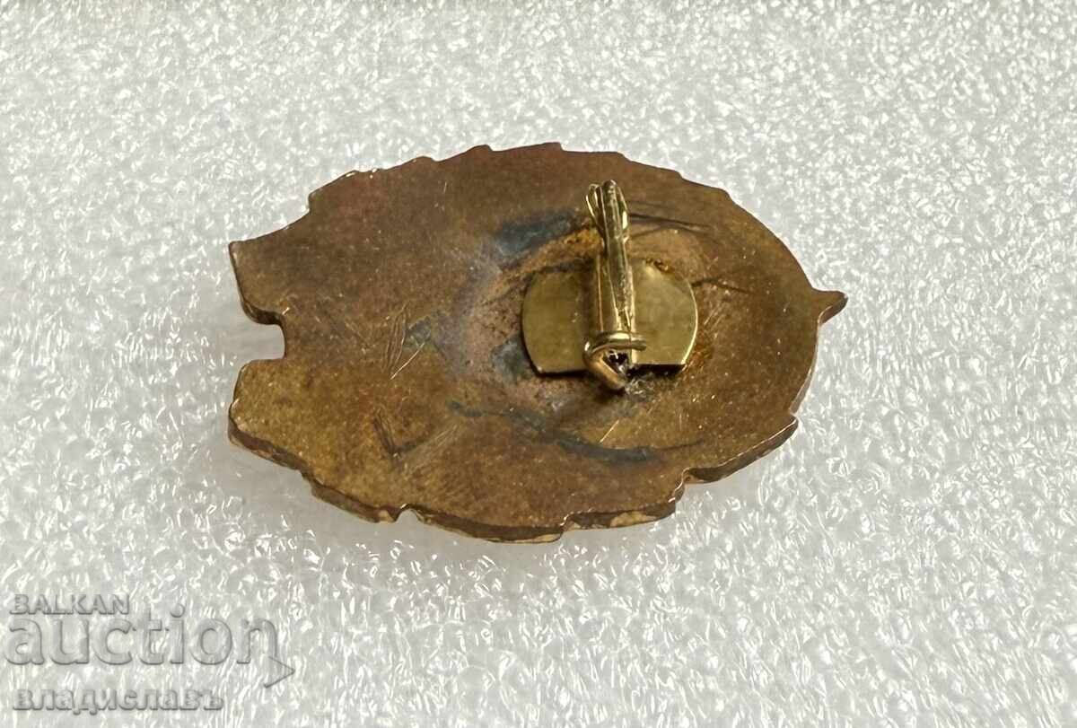 Semn social Marina Militară a Republicii Populare Bulgaria - email cu preț € 125.00 | 244.48 BGN