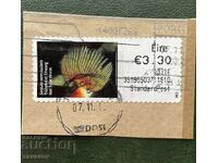 Μεταχειρισμένο Είρε Ιρλανδία Φλόρα