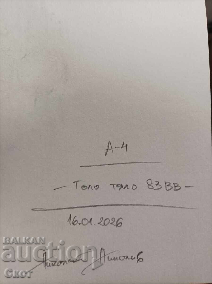 Desen cu cerneală cu preț € 15.00 | 29.34 BGN
