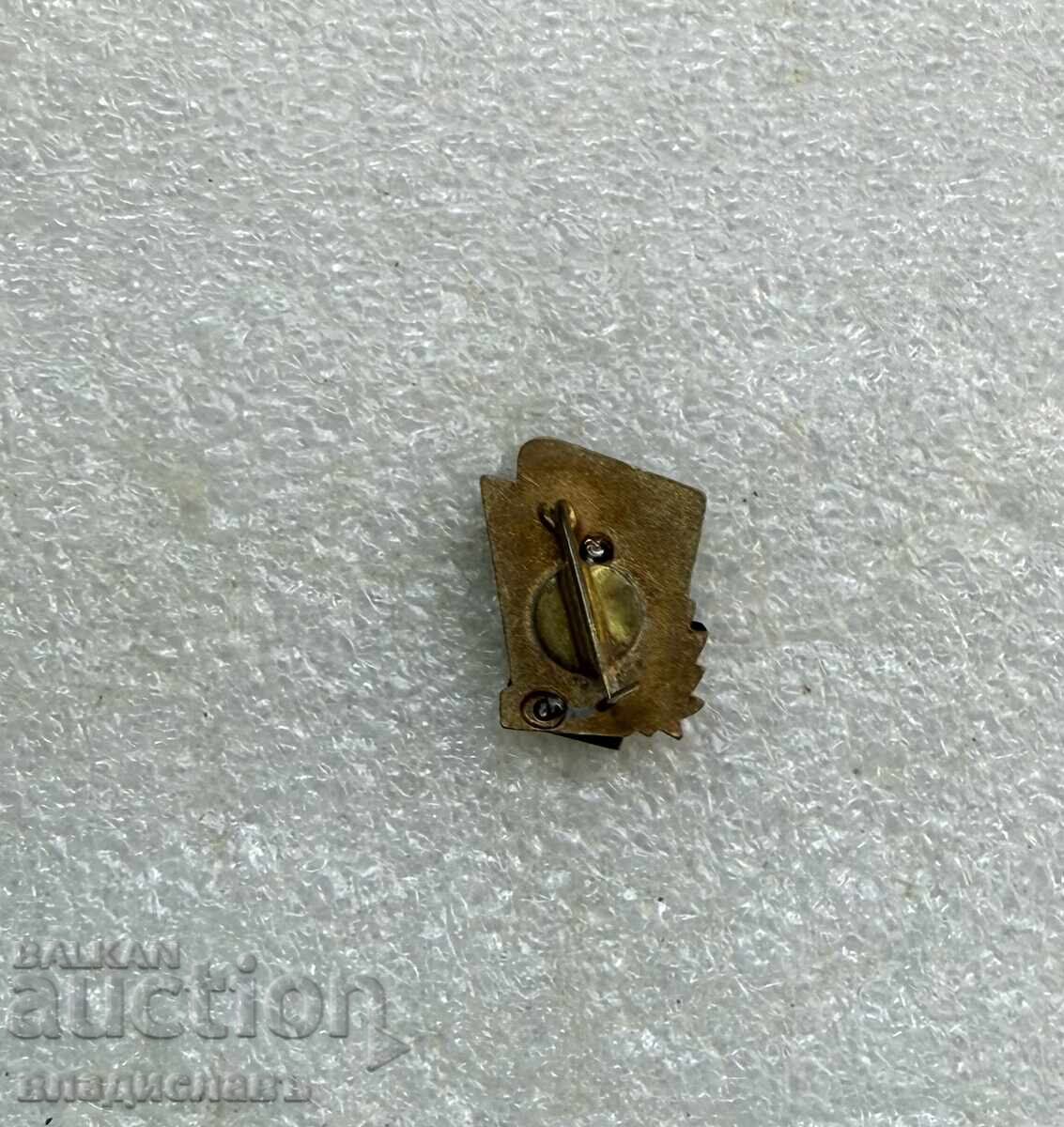 Insigna sportivă Ungaria cu preț € 2.00 | 3.91 BGN