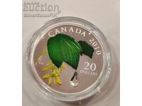 Argint 1 oz Picătură de Rouă Cristal 2010 Canada