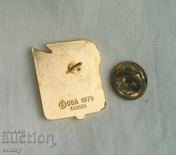 Insigna Jocurile Olimpice de iarnă - Flacăra Olimpică. Email cu preț € 4.60 | 9.00 BGN