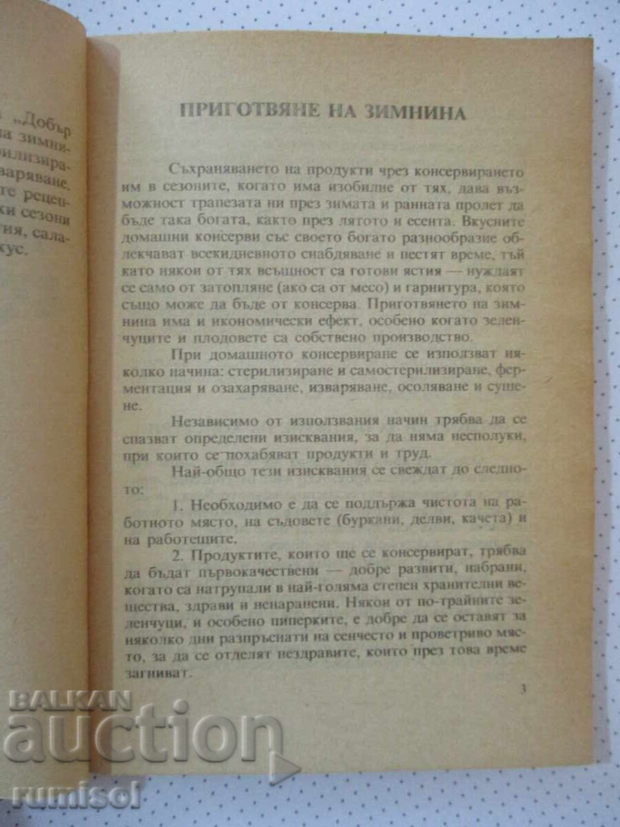 Auction  Winter Coat - Sofia Smolnitska