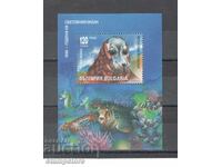 1998 - Year of the World Ocean