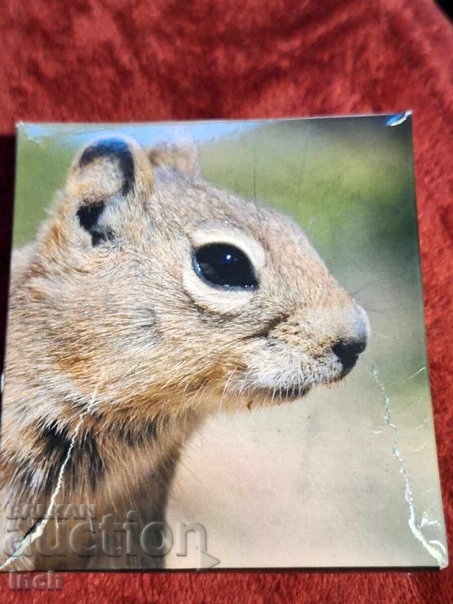 5 ΔΟΛΑΡΙΑ ΠΑΛΑΟΥ ΕΞΑΙΡΕΤΙΚΑ ΣΠΑΝΙΟ BZC - 7