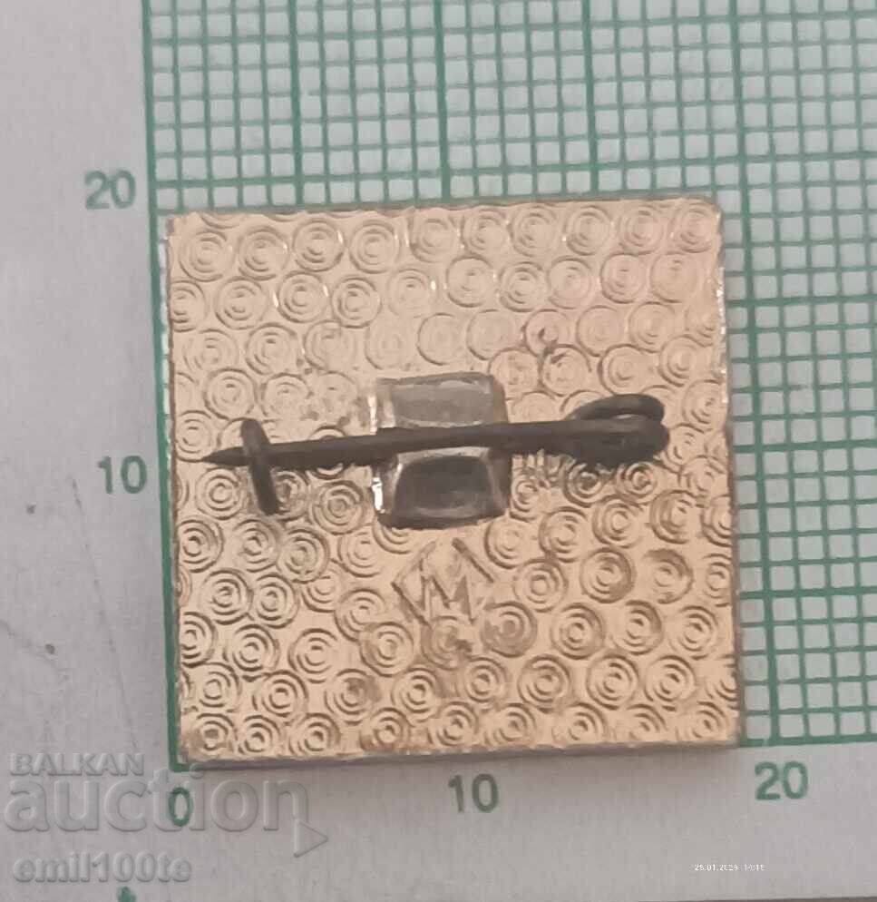 Livrarea Ecuson - Turneul Prieteniei Volei 1970