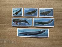 Africa de Sud-Vest - Balenele (1980) MNH