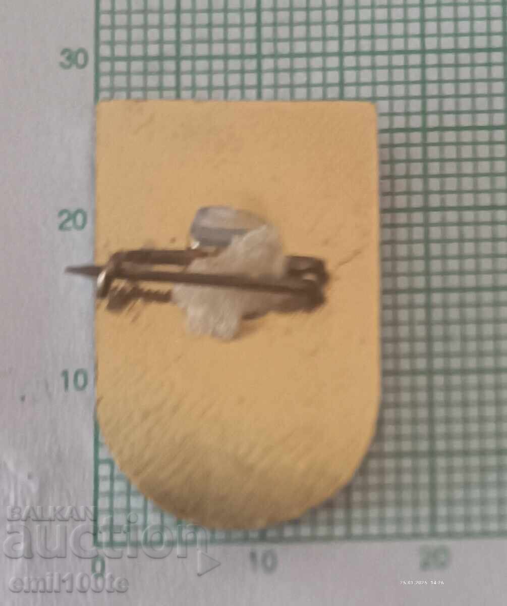 Livrarea Insigna - BSFS Mikhailovgrad