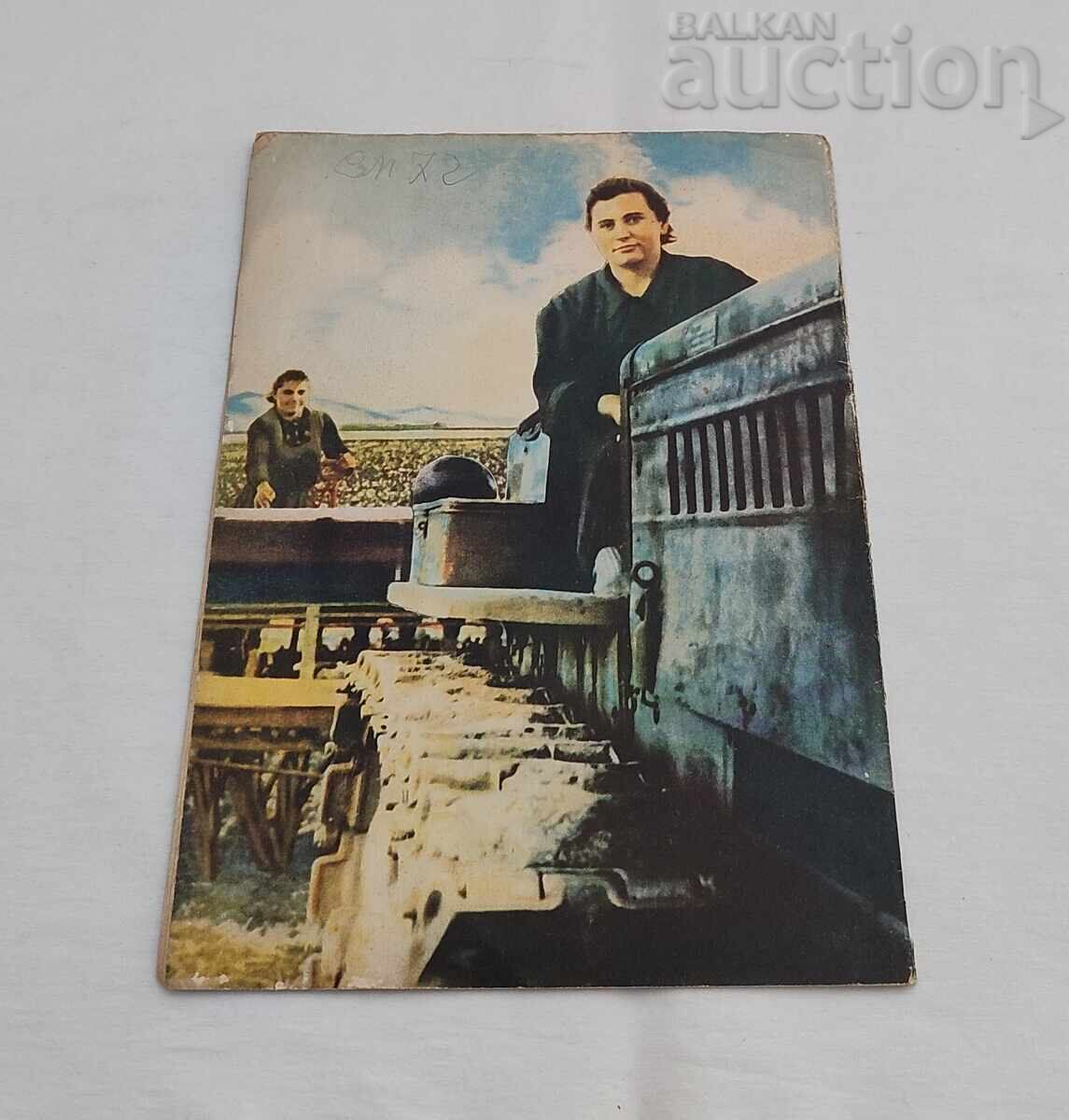 SP. FEMEIA AZI 3/1955 - 7