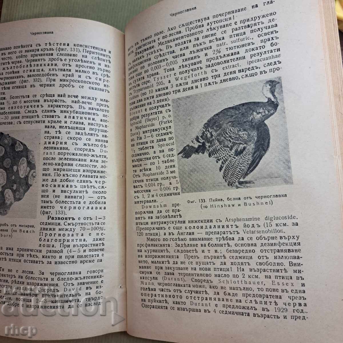 1943 Специална патология и терапия н домашните животни Начев - 6