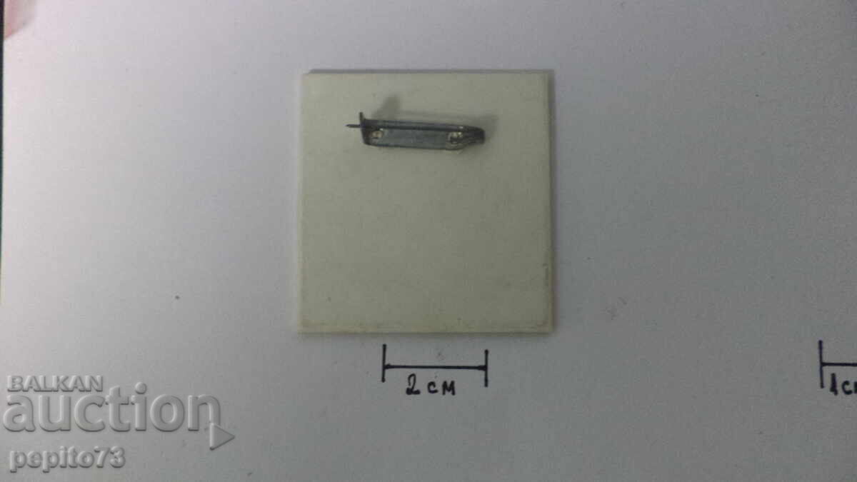 Auction  Children's Badge Poland