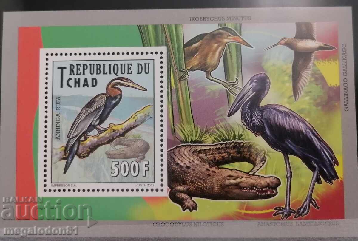 CHAD - Waterfowl fauna - 5