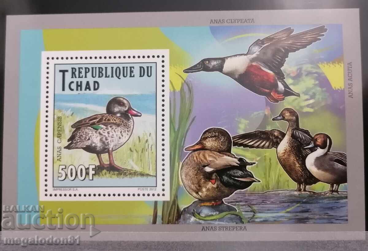 CHAD - Waterfowl fauna - 6