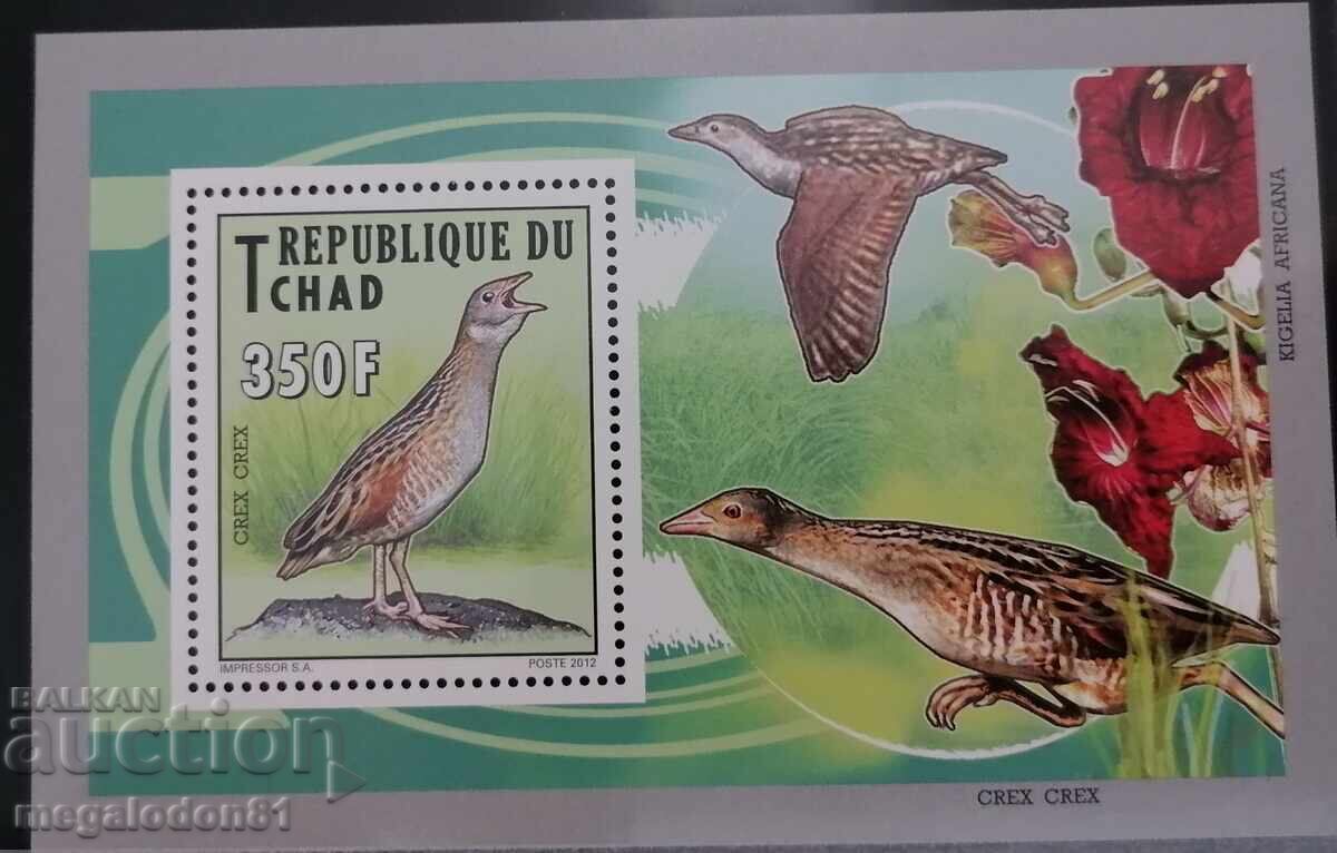 CHAD - Waterfowl fauna - 7