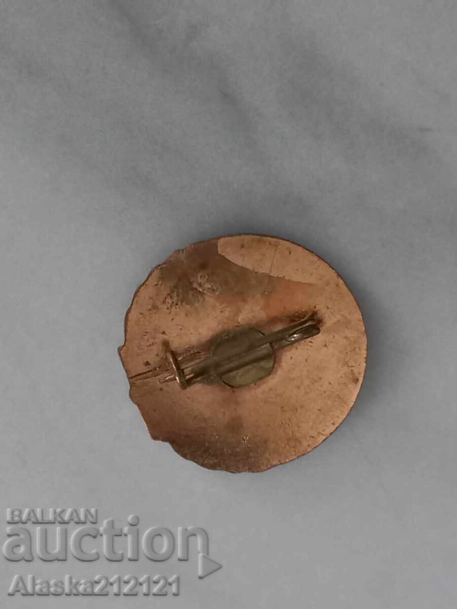 Badge - Friend of the Book Romania - enamel with price € 1.50 | 2.93 BGN