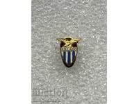 Ghete de fotbal Lazio Roma Italia