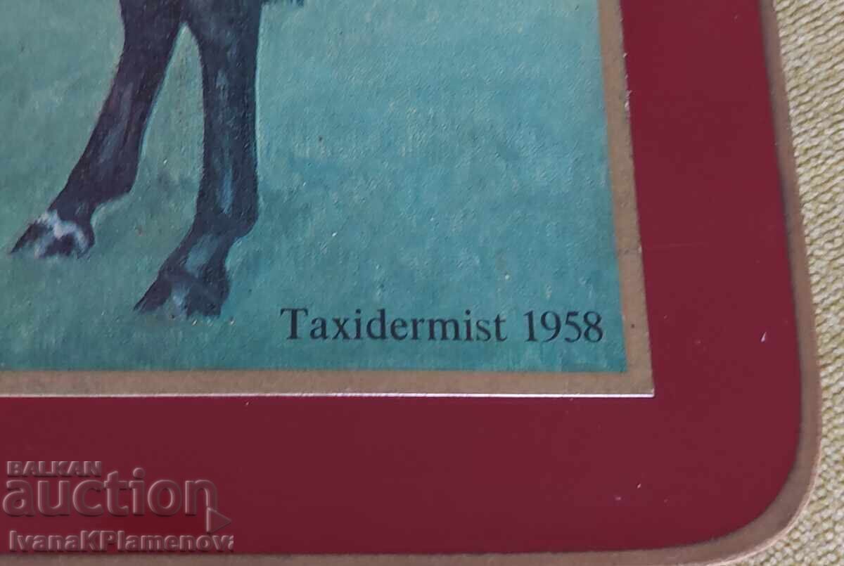 Imagine pe placă de lemn vintage pentru cunoscători - 5