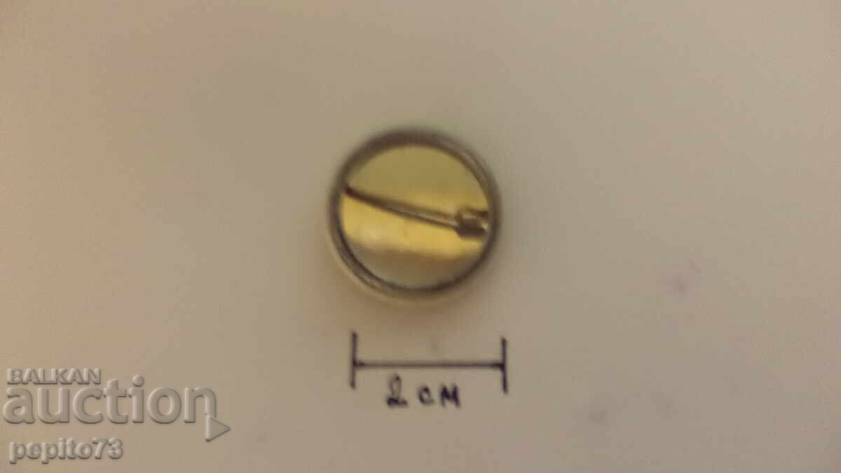 Licitație Emblem Germania, trupa rock VAR