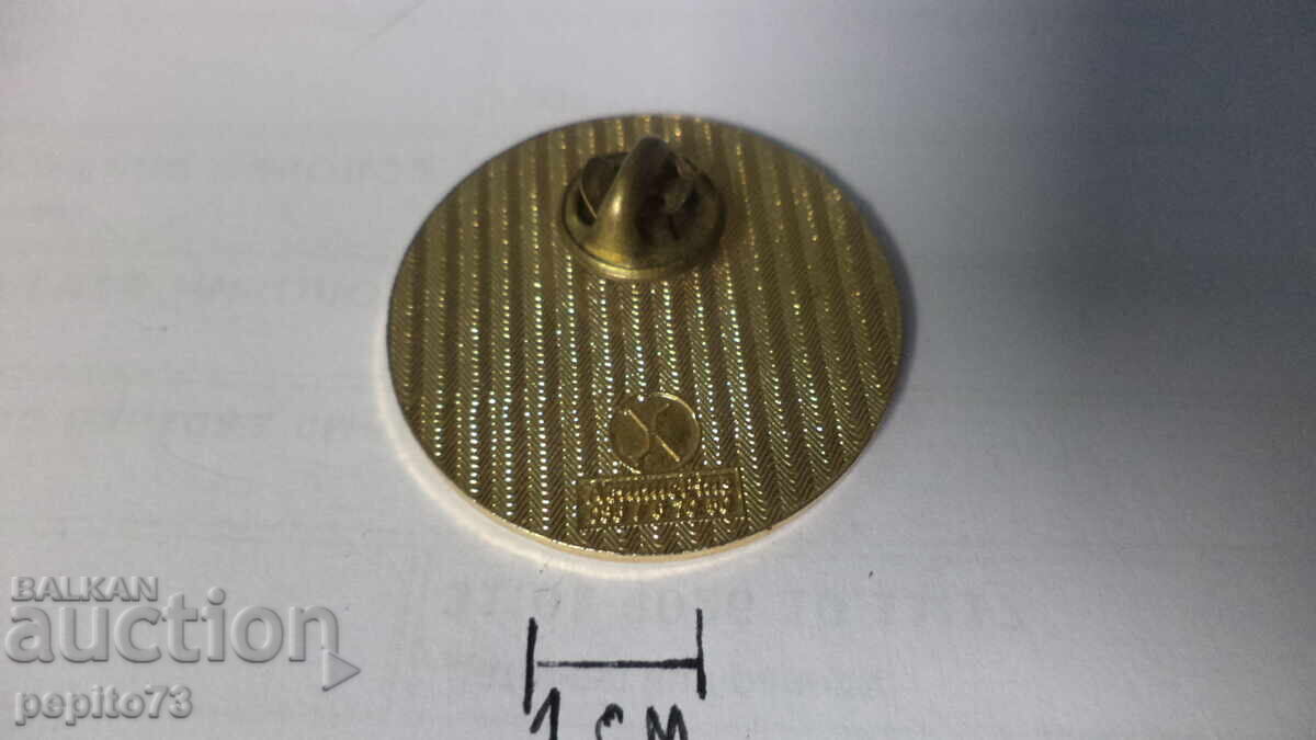 Auction Badge, Switzerland, Alps Auction Badge, Switzerland, Alps