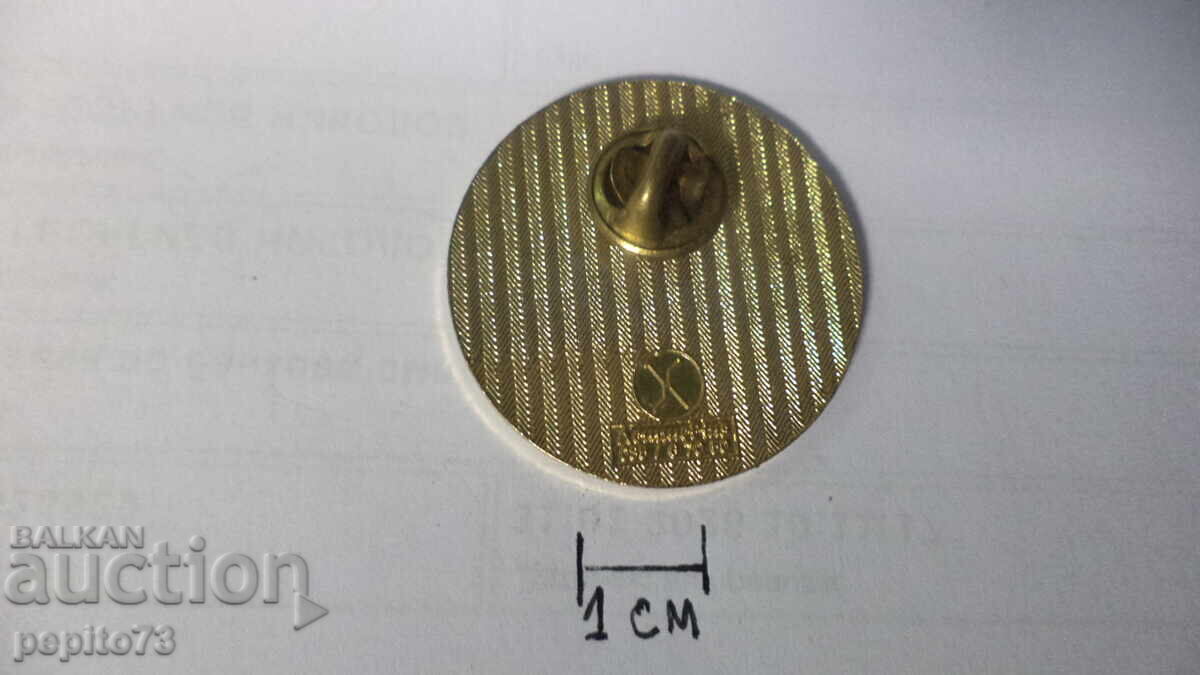 Delivery of Badge, Switzerland, Alps Delivery of Badge, Switzerland, Alps