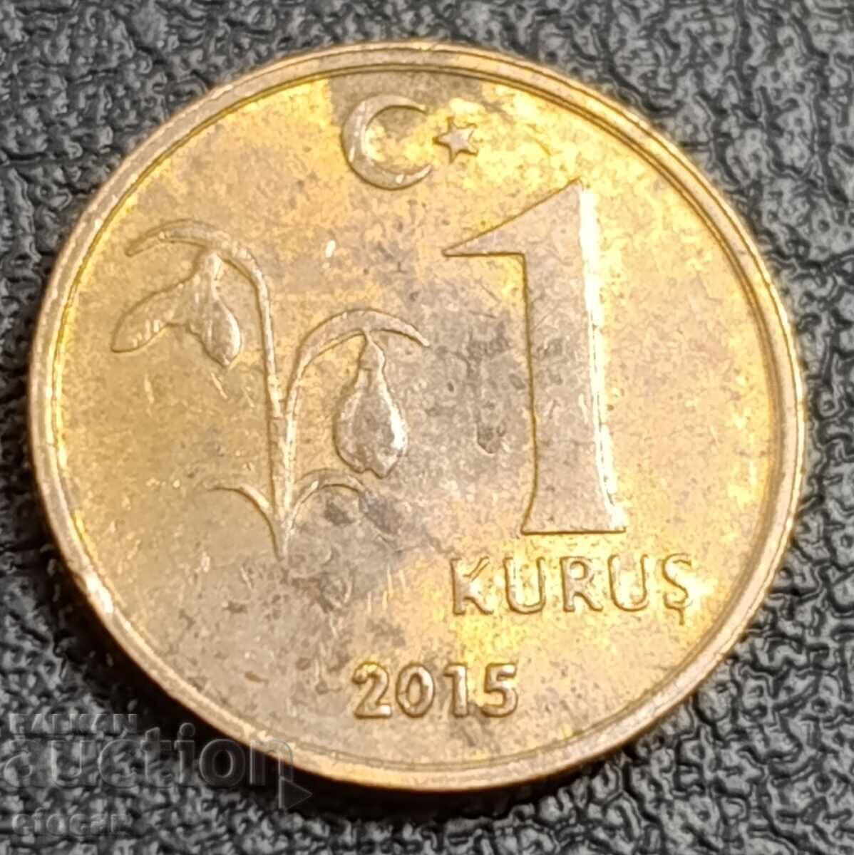 1 куруш Турция 2015