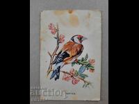 Ημερολόγιο