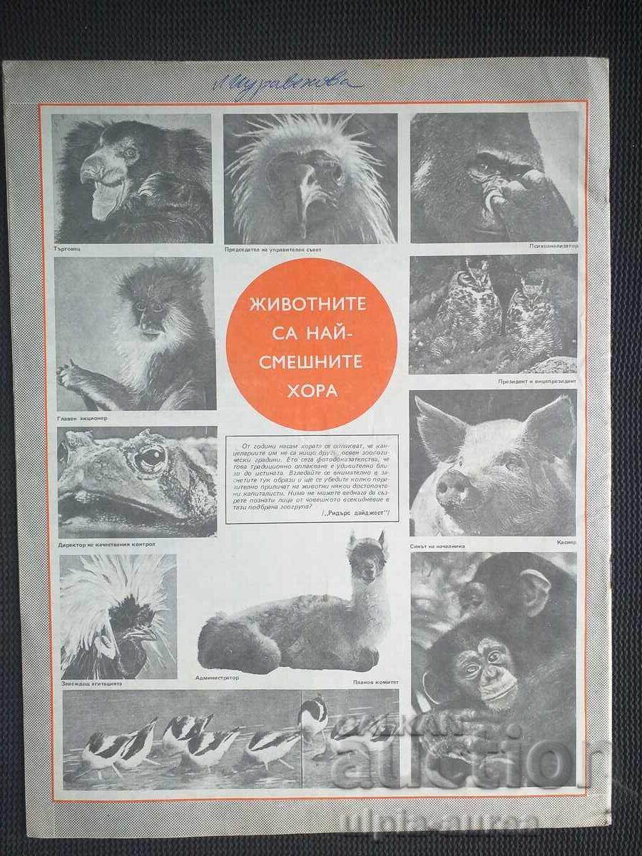 BTA PARALELE cu preț € 0.55 | 1.08 BGN BTA PARALELE cu preț € 0.55 | 1.08 BGN