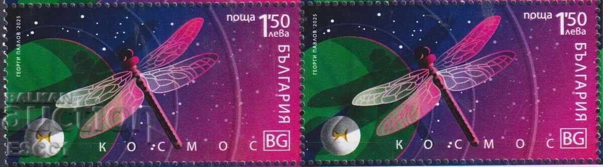 Καθαρή Μάρκα Κόσμος, Βασιλόπουλο 2025 από Βουλγαρία