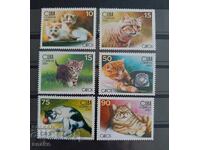 Κούβα 2007 - Πανίδα. Γάτες