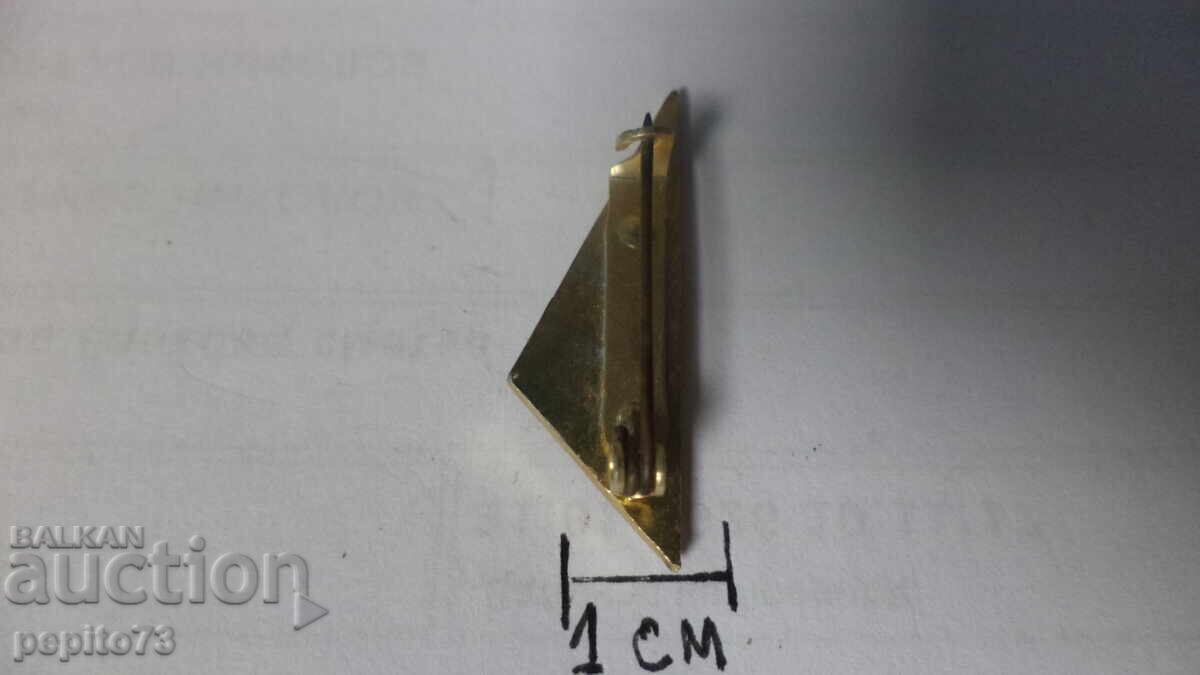 Licitație Emblemă, Cehoslovacia, pionier tânăr