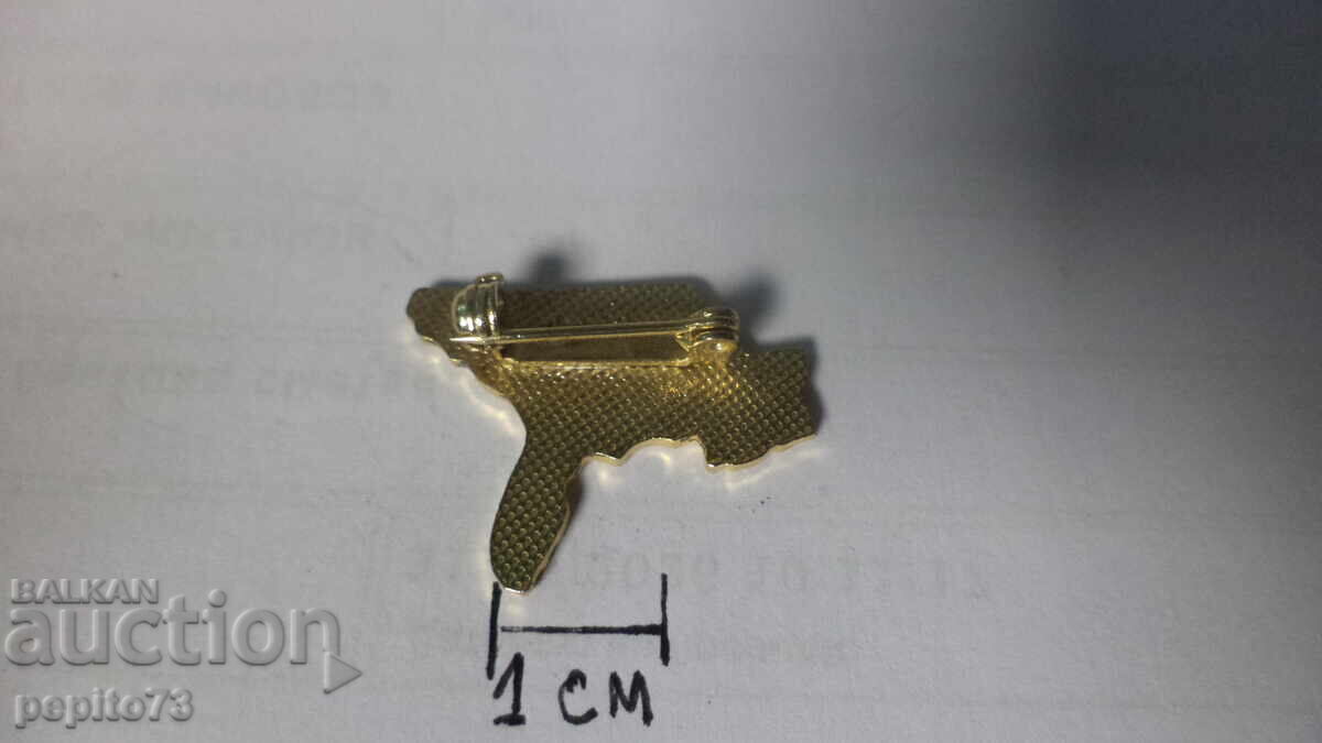 Delivery of Badge, USA, Chess Federation