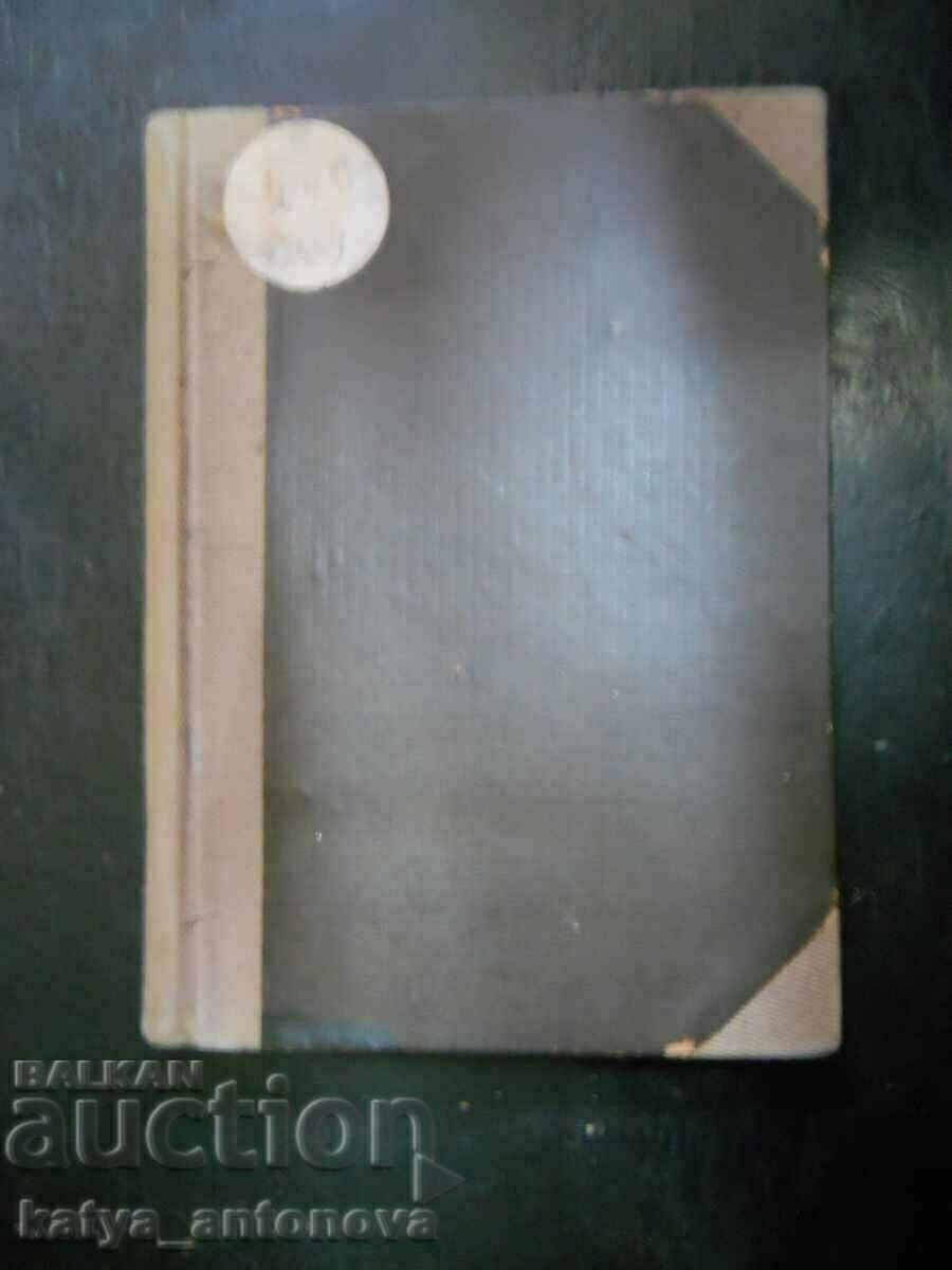 I. S. Turgheniev „Rudin” (magazin de antichități)