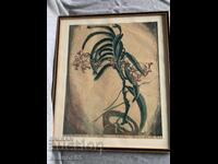 картина цвете