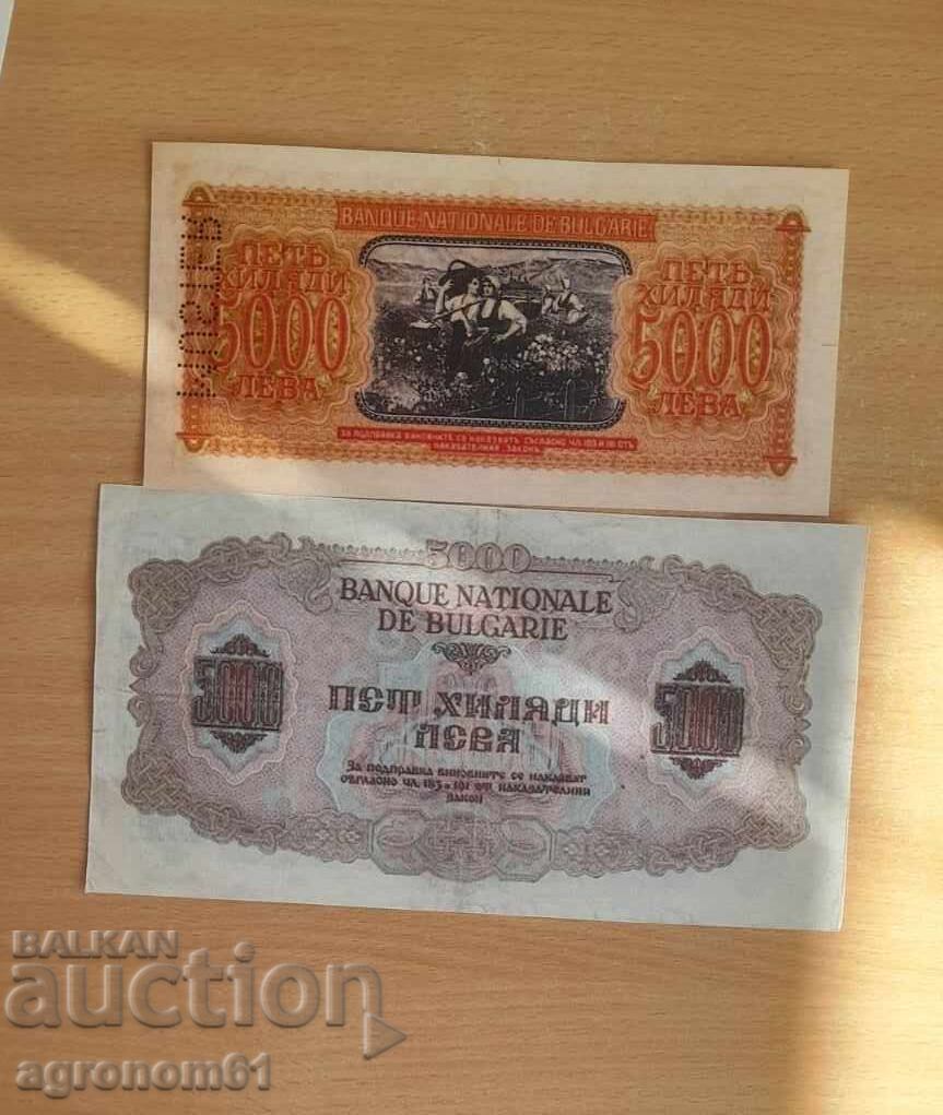 Bancnote 5000 lv - replici. Prețul este pentru 1 bucată /c - 6