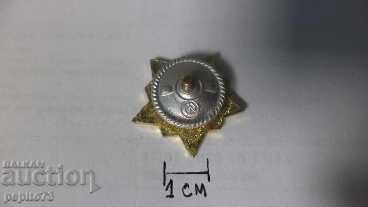 Ecuson, URSS, sportiv de război, gradul 2 - 5