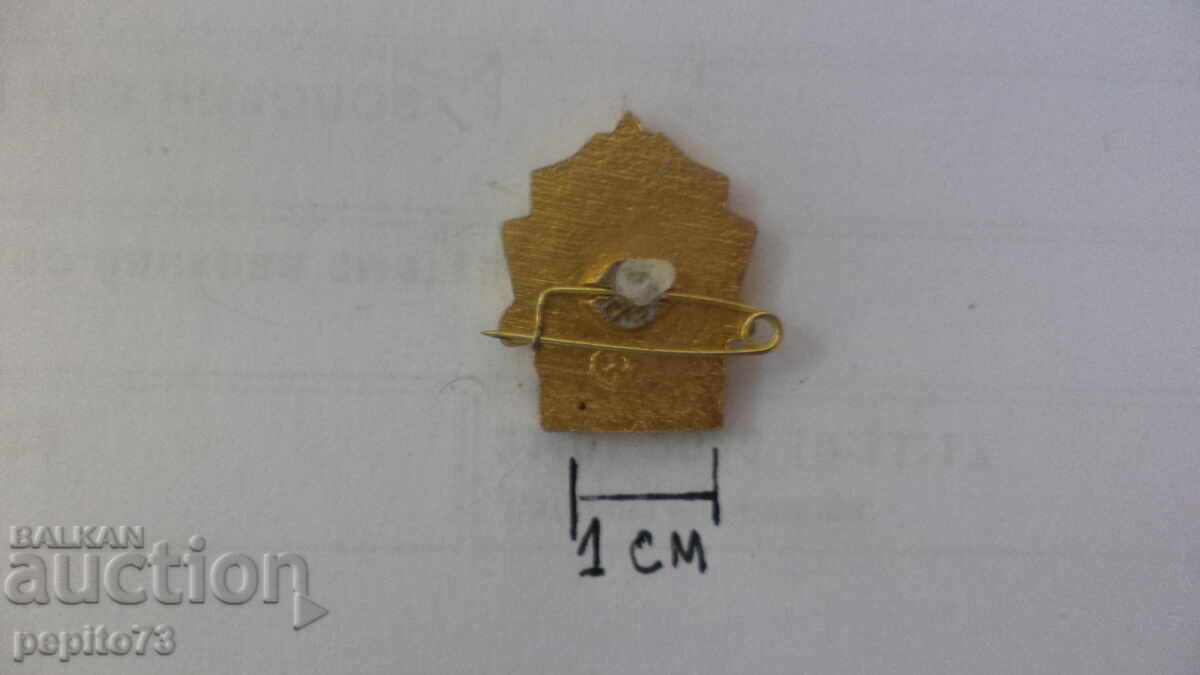 Delivery of Badge, USSR, Junior Volunteer Firefighter
