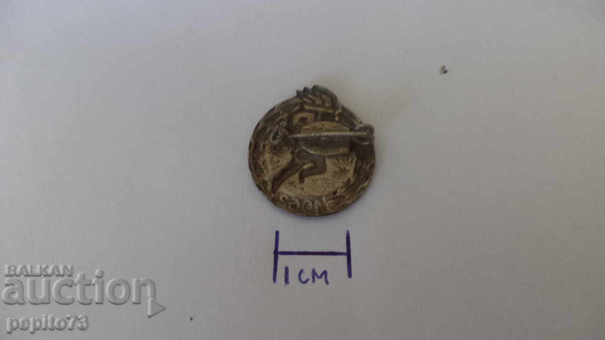 Σήμα ΓΛΔ Πιονέρου 1962 - 5 Σήμα ΓΛΔ Πιονέρου 1962 - 5