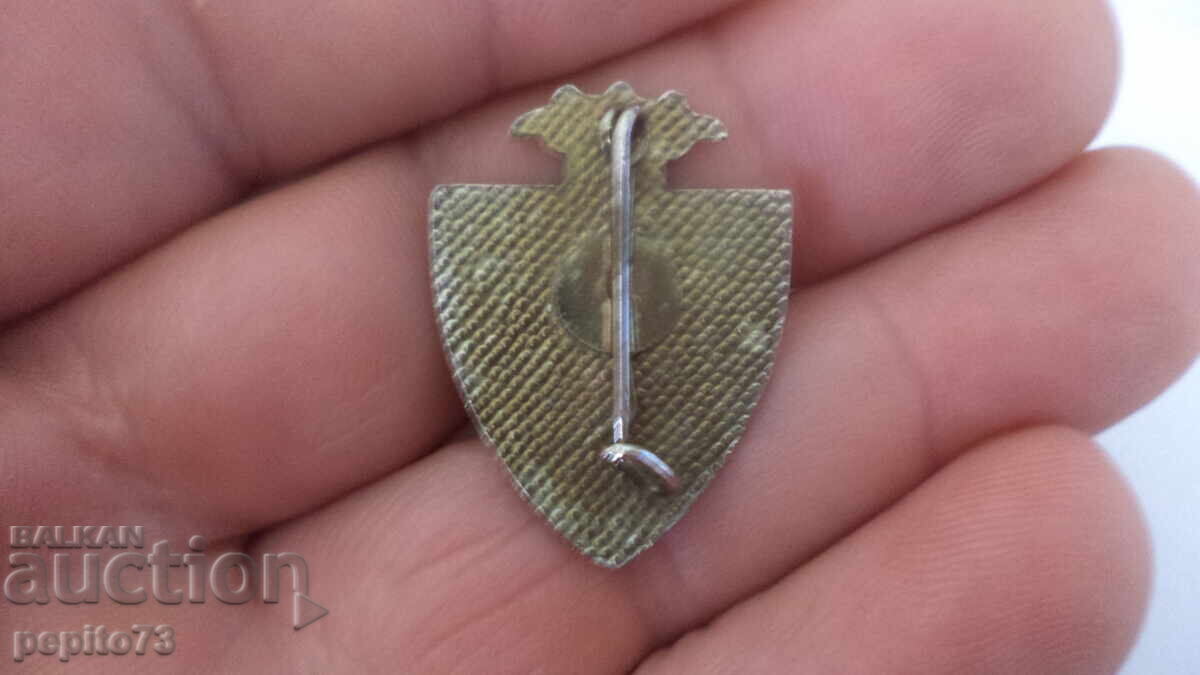 Livrarea Insigna Berchem, Belgia