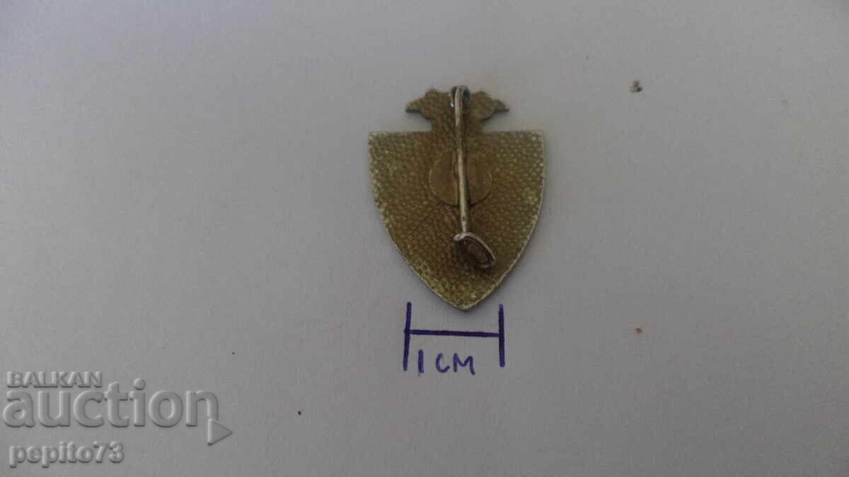 Insigna Berchem, Belgia - 5